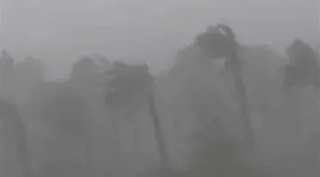 سنن نبوية مهجورة.. ماذا يقدم المنهج النبوي لمواجهة تقلبات رياح الخماسين؟